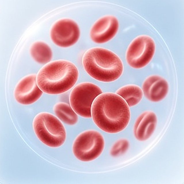 Pale blue x-ray style render: blood