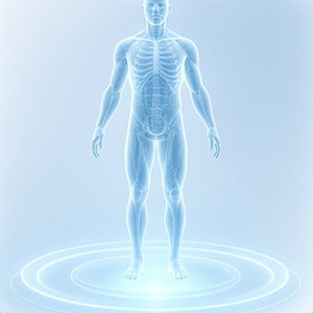 Pale blue x-ray style render: body